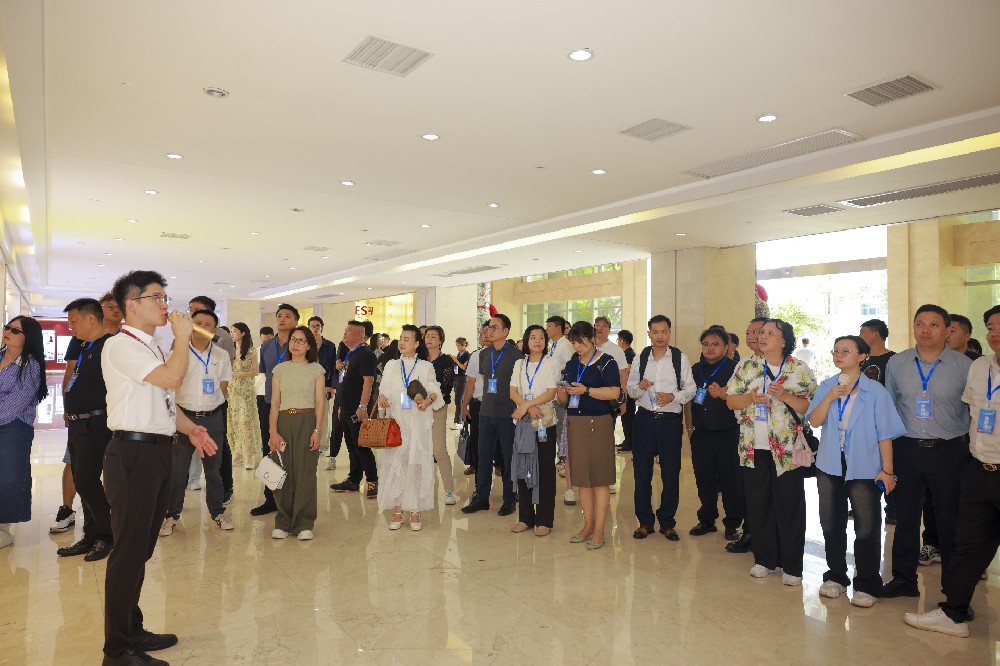 月月有活动 场场有亮点 探寻福建省青商联的“活力密码”